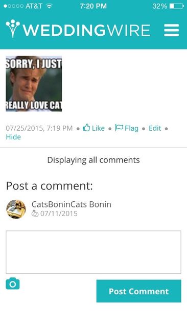 @catsbonincats