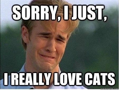 @catsbonincats