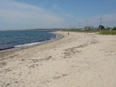 Cape Cod Brides