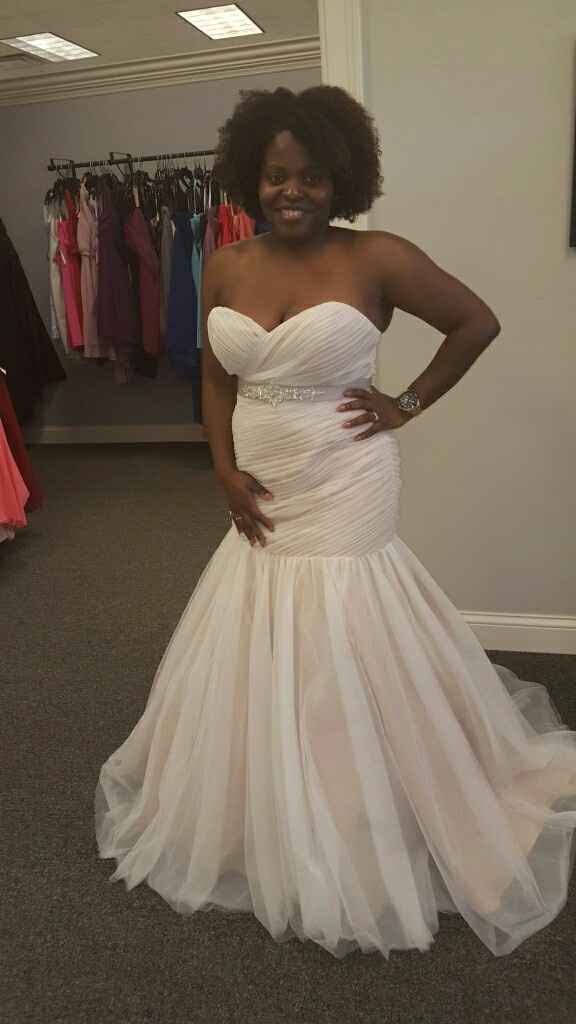 Wedding Dress Blues...