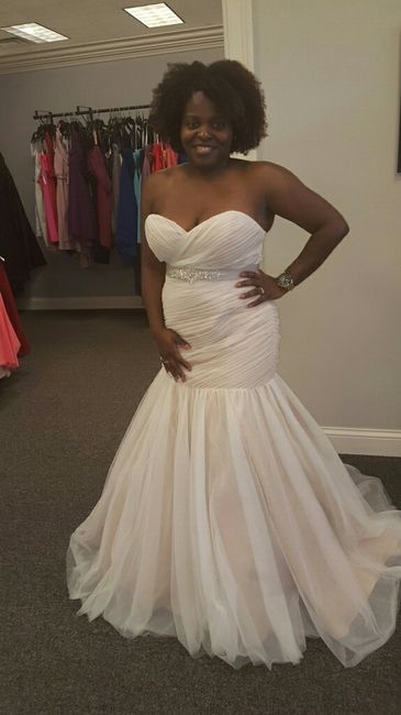 Wedding Dress Blues...