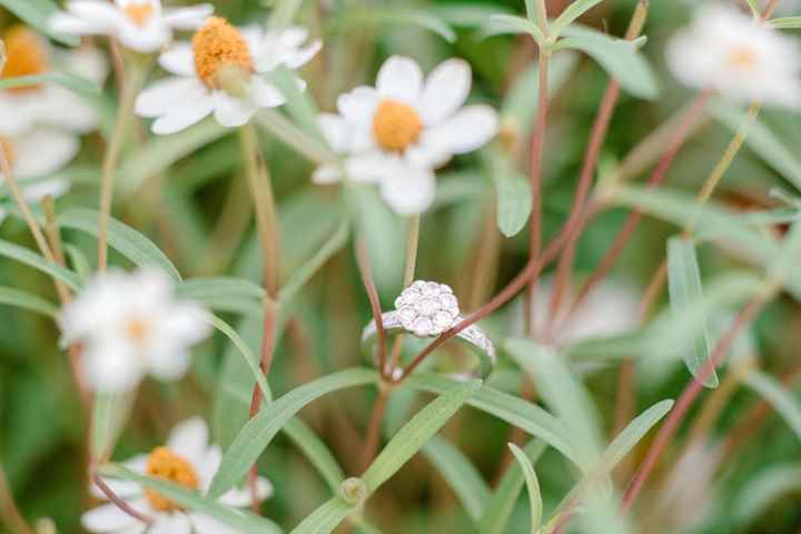 Let me see those rings! - 1