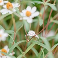 Let me see those rings! - 1