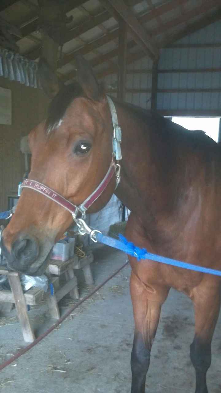 Sorry, Wedding User participation is not allowed on this discussion