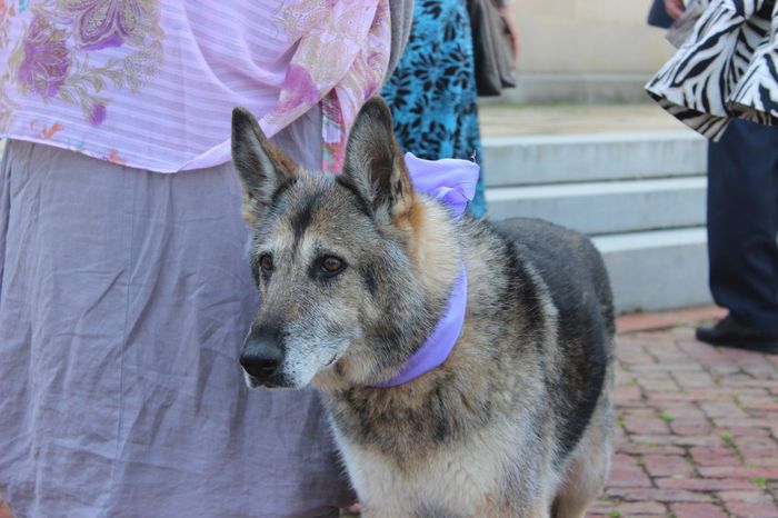 Another 4/11 mini-BAM!