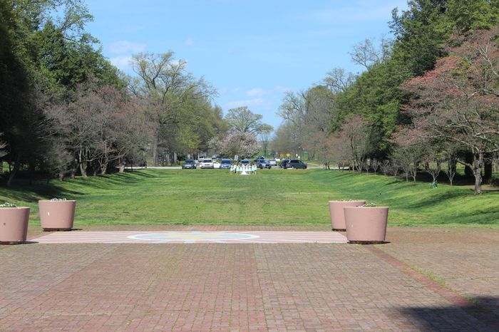 Another 4/11 mini-BAM!