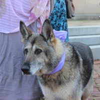 Another 4/11 mini-BAM!