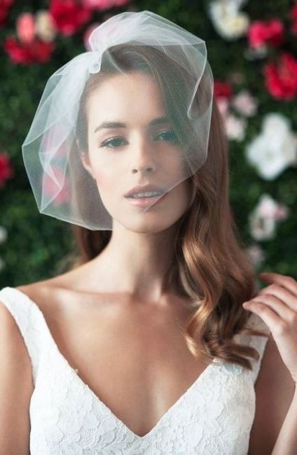 Which type of veil would you suggest? - 2