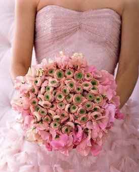 Ranunculus?
