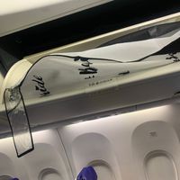 Flying With Dress - 1