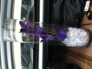 DIY Flower Arrangements~anyone else thinking of doing the same? Or am I the only crazy one...