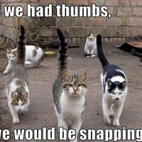 Stupid Meltdown! Words of love needed