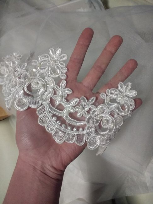blanca veil