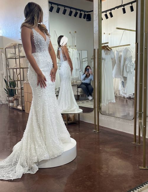 Help me decide between two wedding dresses 2