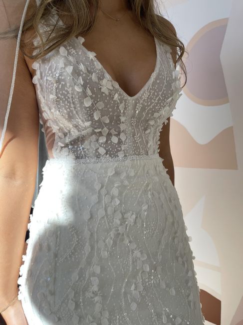 Help me decide between two wedding dresses 4