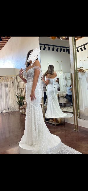 Help me decide between two wedding dresses 5