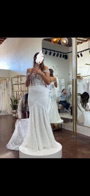 Help me decide between two wedding dresses 6