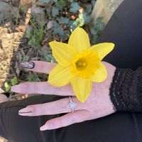 2023 Brides - Show us your ring! - 1