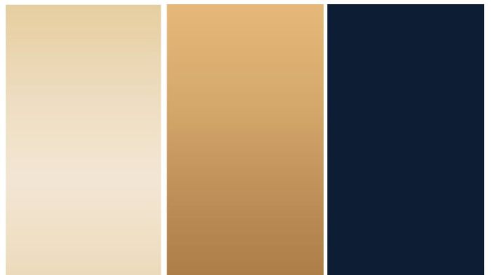 Wedding Colors - Midnight blue, gold & champagne
