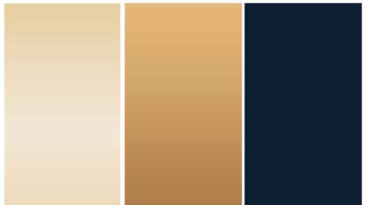 Wedding Colors - Midnight blue, gold & champagne