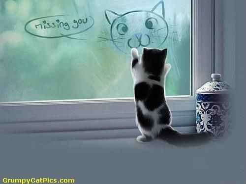 Where in the world is future Mrs. Rigby??