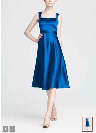 Anyone using David's Bridal For Their Maids,which dress did you pick?