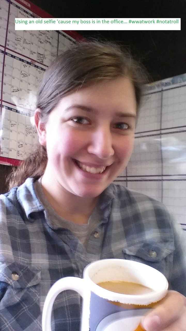 "lets flush out the trolls"