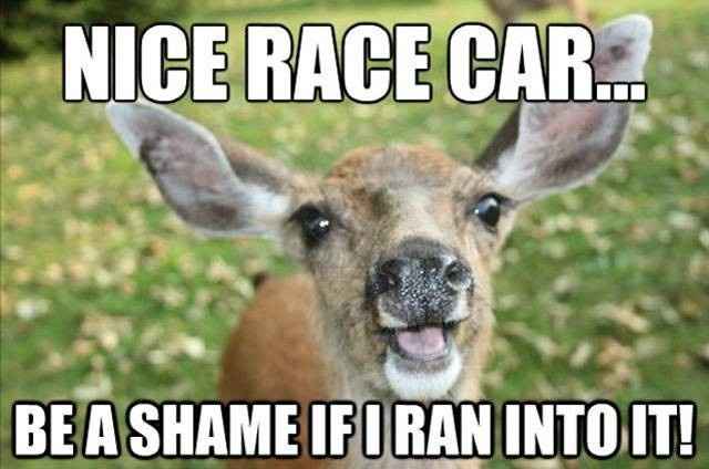 NWR: Stereotypes (for fun!)