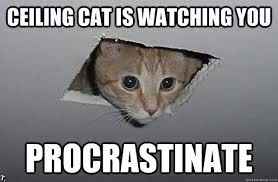 Help a gal out, please!