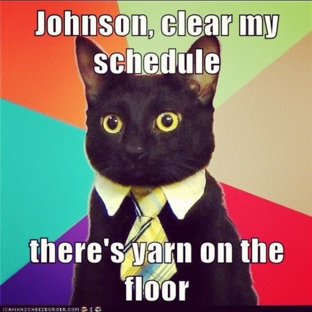 Help a gal out, please!