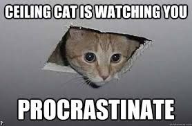 Help a gal out, please!