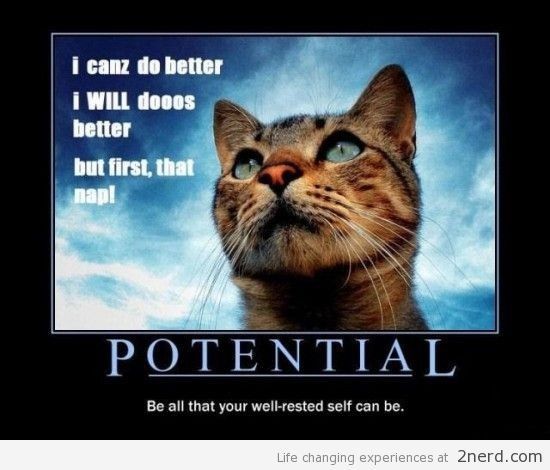 Help a gal out, please!