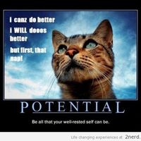 Help a gal out, please!