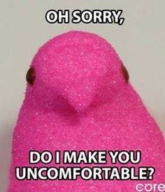 NWR: Marshmallow Peeps!