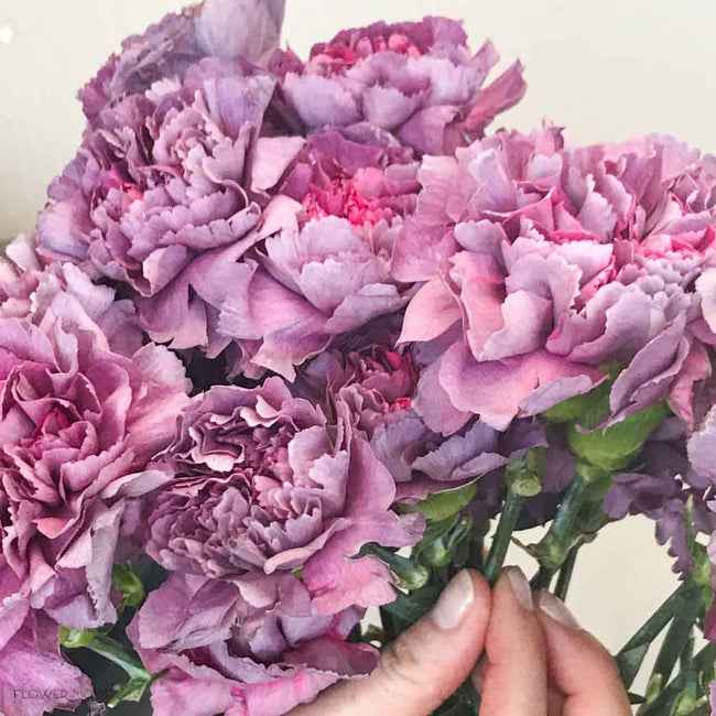 diy real flower color pallet - 4