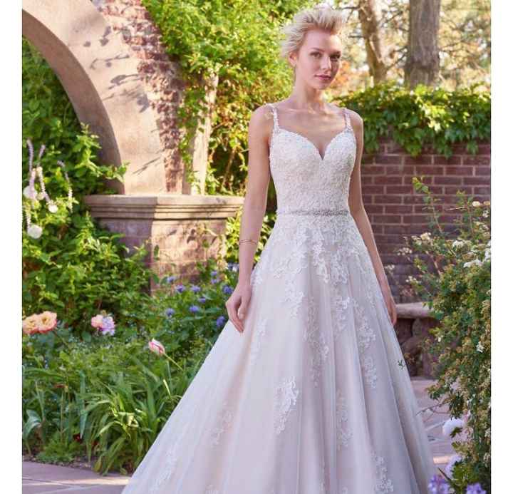 My Stupid Wedding Dream! - 1