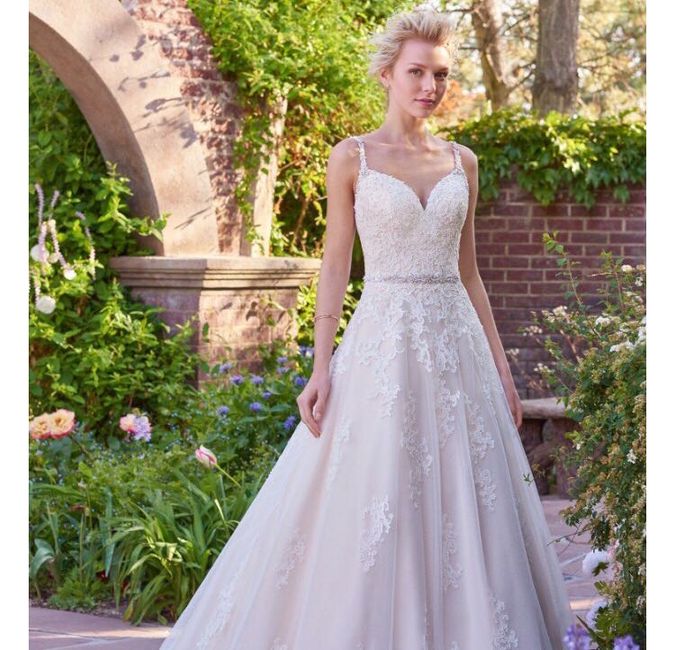 My Stupid Wedding Dream! - 1