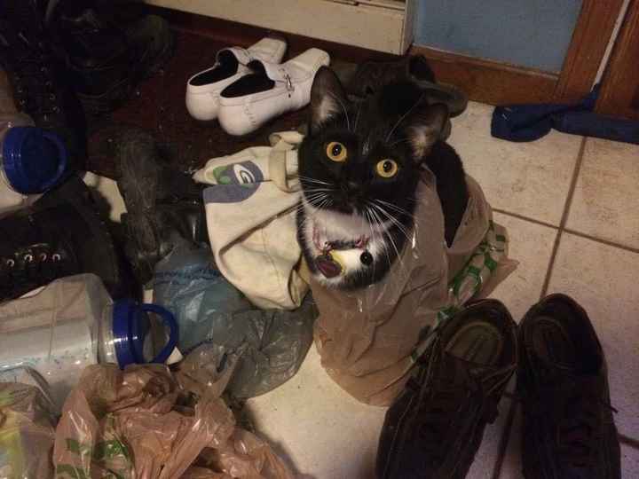 NWR: Today freaking sucks.