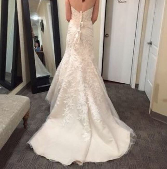 Have you said YES to the DRESS?