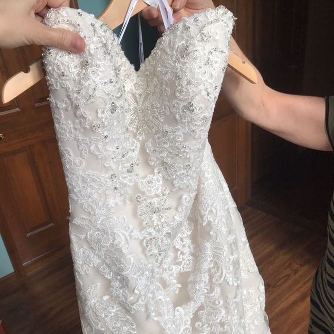 Have you said YES to the DRESS?