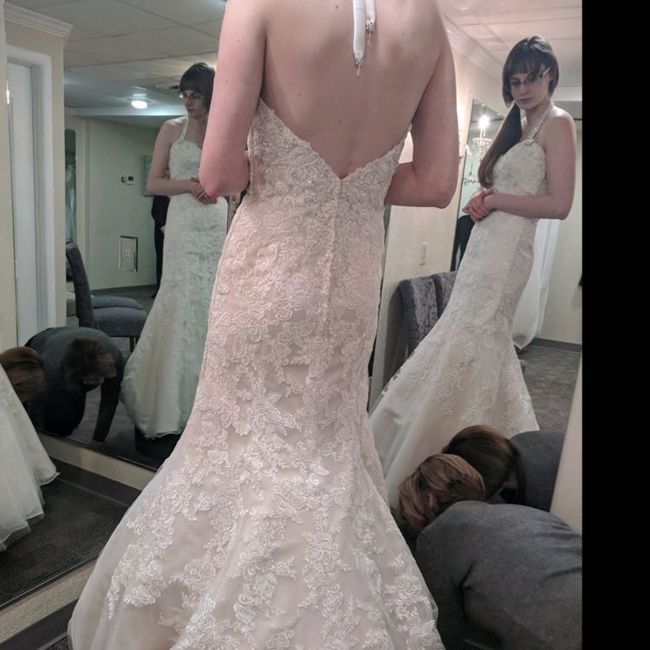 Beautiful Dresses :) - 2