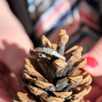 Let's see your engagement rings