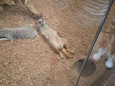 It's funny photo time!