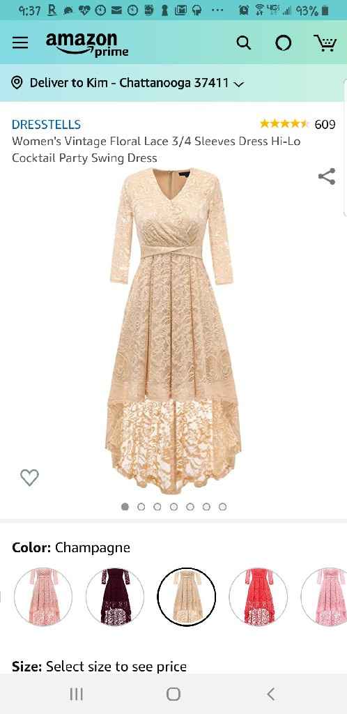 Mother of the bride dress - 1