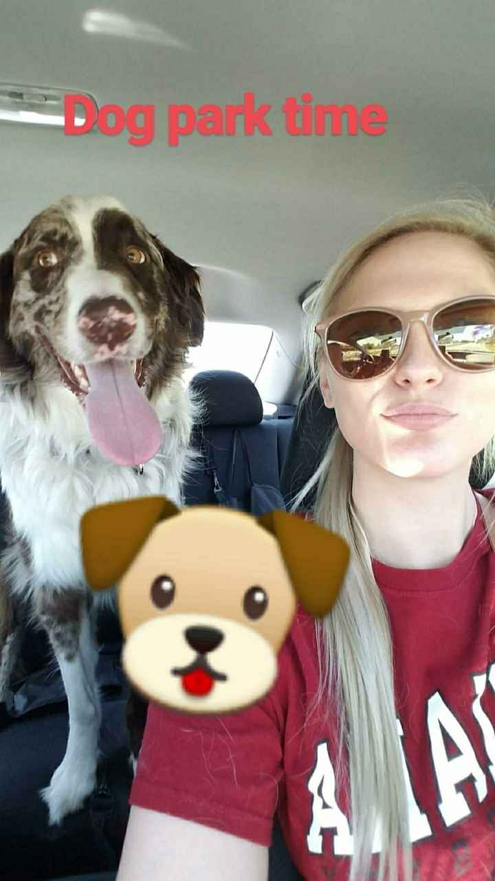 Furbabies?(non wedding post)