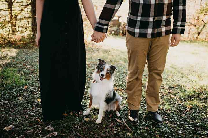 Incorporating your dog in the wedding