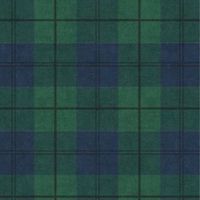 Any ideas for an outdoor aisle runner? - 1