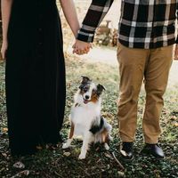 Incorporating your dog in the wedding
