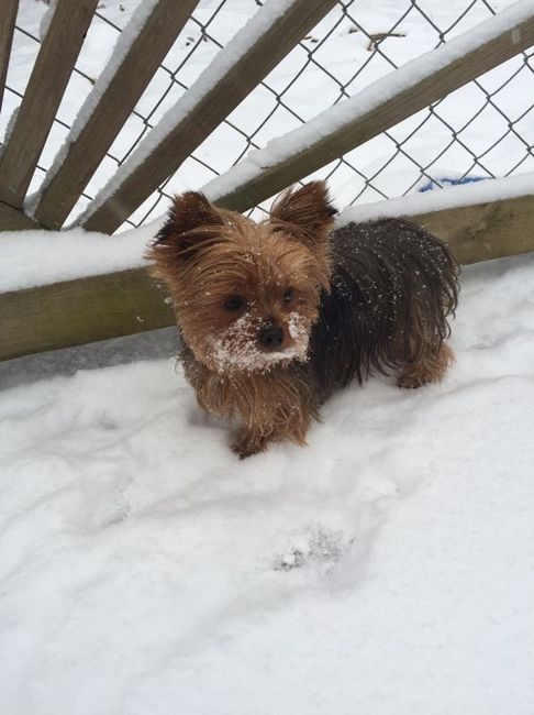 East Coast!! Show me your snow pictures!