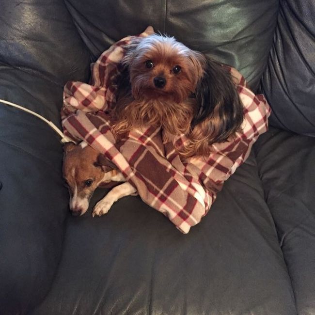 I LOVE my fur baby!